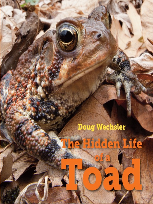 Title details for The Hidden Life of a Toad by Doug Wechsler - Available